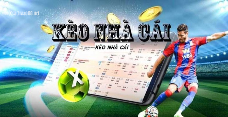 cac loai keo nha cai pho bien
