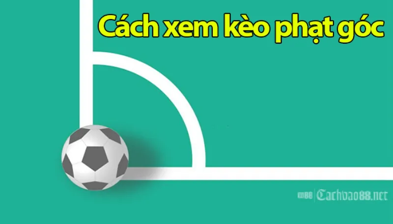 cach xem keo phat goc