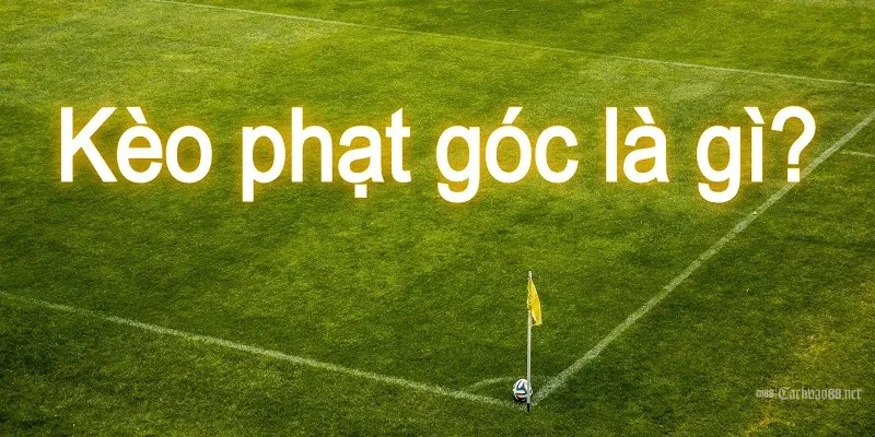 gioi thieu keo phat goc la gi